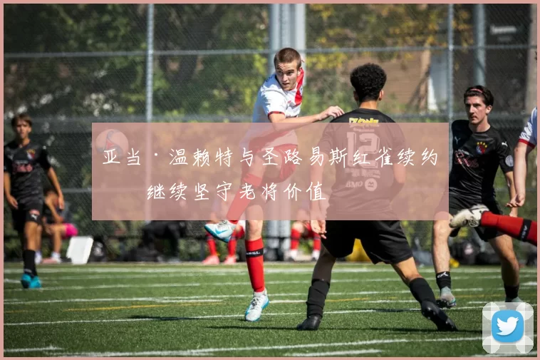 亚当·温赖特与圣路易斯红雀续约，继续坚守老将价值