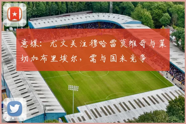 意媒：尤文关注穆哈雷莫维奇与莱切加布里埃尔，需与国米竞争