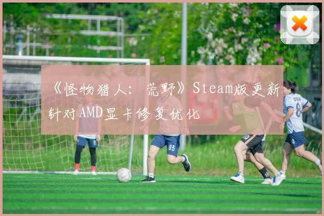 《怪物猎人：荒野》Steam版更新 针对AMD显卡修复优化