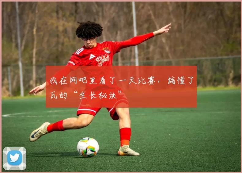 我在网吧里看了一天比赛，搞懂了瓦的“生长秘诀”